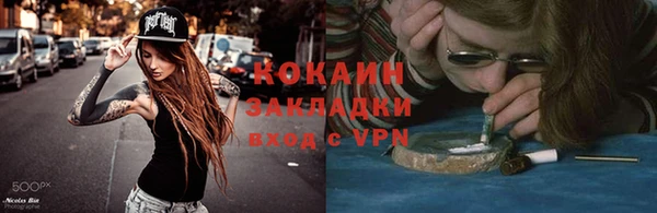 гашик Арсеньев