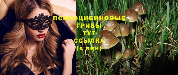 гашик Арсеньев