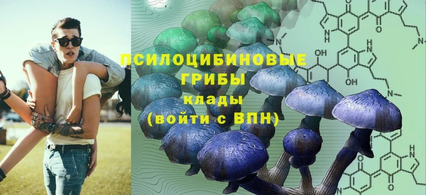 гашик Арсеньев