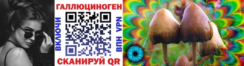Галлюциногенные грибы Psilocybine cubensis  ссылка на мегу как зайти  Исилькуль 